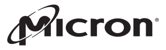 Micron Micron